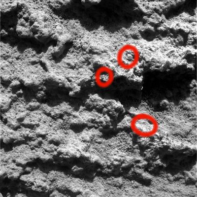 The texture of "Sleeping Bear" (1) - Sol 699
Original caption:"Microscopic Imager Non-linearized Full frame EDR acquired on Sol 699 of Spirit's mission to Gusev Crater at approximately 12:41:41 MLT. Microscopic Imager dust cover commanded to be OPEN".

Cerchiature Rosse: modestissimi photo-artifacts che dimostrano l'esistenza, nella roccia che forma "Sleeping Bear", di elementi cristallini ad altissima riflettenza.
Parole chiave: Microscopic Imager (MI)