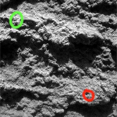 The texture of "Sleeping Bear" (3) - Sol 699
Original caption:"Microscopic Imager Non-linearized Full frame EDR acquired on Sol 699 of Spirit's mission to Gusev Crater at approximately 12:52:12 MLT. Microscopic Imager dust cover commanded to be OPEN".

Cerchiatura Verde: un photo-artifact analogo a quelli evidenziati nel primo quadro della serie "The texture of Sleeping Bear" e, soprattutto, una curiosa micro-configurazione della roccia la quale, operando anche solo un minimo ingrandimento del frame, rivela una struttura a "camino", molto simile a quella di svariate tipologie di anemoni acquatici terrestri, comuni anche nei nostri Mari (se ne trovano in enormi quantitativi sulle rocce frangiflutti, a pochissima profondità). 
Un particolare, comunque ed al di là della nostra (azzardata, ma non inverosimile) similitudine, su cui riflettere molto.
Parole chiave: Microscopic Imager (MI) - Controversial Frame