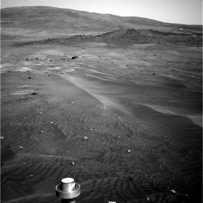 Next Target! - Sol 706
nessun commento
Parole chiave: Mars Panorama - El Dorado Area