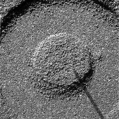 M�ssbauer's mark - Sol 709
Incredibile. La tessitura delle "sabbie e polveri" di El Dorado è davvero incredibile, non credete!?!

Original caption:"Microscopic Imager Non-linearized Full frame EDR acquired on Sol 709 of Spirit's mission to Gusev Crater at approximately 15:00:30 MLT.
Microscopic Imager dust cover commanded to be OPEN".
Parole chiave: Microscopic Imager (MI) - Controversial Frame