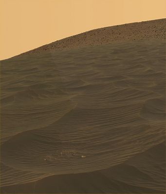 El Dorado on Mars! (5) - Sol 710
nessun commento
Parole chiave: Mars Panorama - Gusev Crater - Horizon and El Dorado ripple field