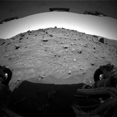 Rear-view (1) - Sol 726
Caption originale:"Right Rear Haz-Cam Non-linearized Full frame EDR acquired on Sol 726 of Spirit's Mission to Gusev Crater at approximately 12:41:01 MLT".
Parole chiave: Mars rocks, sand and debris