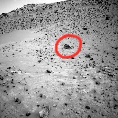 D�j� vu?!?... - Sol 731
Forse è colpa nostra se soffriamo di questa Sindrome del "Già Visto" ma, a nostro avviso, sono svariate (o forse innumerevoli) le immagini in arrivo da Spirit le quali ci presentano impressionanti rapporti di somiglianza tra i diversi rilievi ripresi. Come dire? Sembra che, nella bizzarrìa delle rocce e delle pseudo-rocce di Marte vi sia, comunque, una "costante di fondo" la quale fa si che, a ben vedere, tutte le "bizzarrìe" sono - in ampia misura - ripetitive.
Certo, sono tutte coincidenze: nessuno di noi, infatti, sta maliziosamente pensando che, certo non tutti, ma forse una buona parte dei frames che ci mandano Spirit ed Opportunity (e che vengono pubblicati, specie negli ultimi 8/10 mesi) non sìano altro che dei collage digitali - "cut and paste", insomma... - ricreati in laboratorio, a Pasadena o altrove, da qualche Tecnico della Fotografia il cui unico compito è rivedere, correggere, riutilizzare e, soprattutto, nascondere e confondere.

No: nessuno di noi sta pensando questo.

Forse...
Parole chiave: Mars Rocks, Sand and Debris - Anomalous Surface Feature
