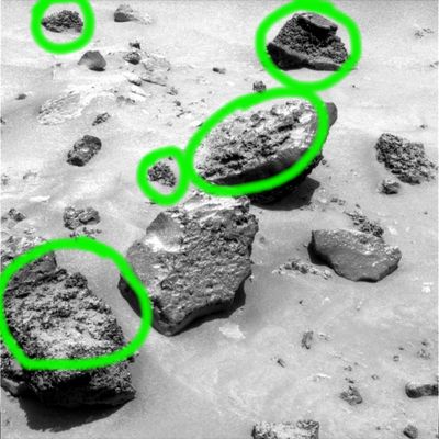 Martian "Corals" (1) - Sol 732
Le rocce che vengono riprese da Spirit mostrano - a nostro parere con una nitidezza davvero spettacolare -  una interessantissima porzione della loro "Natura": non ci è possibile dire se quelle curiose (e "coralline", almeno in apparenza) fattezze che le caratterizzano sìano nell'in sè delle rocce oppure se ci sia "qualcosa attaccato" ad esse. Un "qualcosa" che un tempo era "vivo" e che ora si è completamente fossilizzato. 
O magari un "qualcosa" che è ancora - e magari solo in parte - "vivo"...

Ciò che vediamo (anche se sappiamo che la vista può ingannare) è che c'è effettivamente "qualcosa" di estraneo, almeno sulle rocce cerchiate in verde: "qualcosa" che non è semplice "roccia", nel senso terrestre della parola, naturalmente...
E su questo non crediamo che possano esserci dubbi.
Parole chiave: Mars Rocks, Sand and Debris - Extremely Anomalous Surface Feature