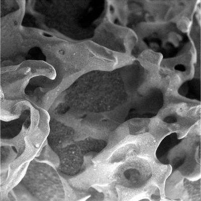 Details of "Bubble Rock" (1) - Sol 736
Una serie di quattro spettacolari dettagli della roccia che abbiamo battezzato "Bubble Rock" e che fa parte, a nostro parere, della Famiglia delle pseudo-rocce.
Le forme che vediamo - checchè la NASA ne possa dire - ci richiamano alla mente, ancora una volta, le "Creature delle Scogliere" (spugne, coralli o qualcosa del genere); in ogni caso, si tratta di forme che NON sembrano proprio per nulla (a nostro modesto parere) il risultato di un qualche sub-processo vulcanico.

Caption originale:"Microscopic Imager Non-linearized Full frame EDR acquired on Sol 736 of Spirit's mission to Gusev Crater at approximately 11:35:26 MLT. Microscopic Imager dust cover commanded to be OPEN".
Parole chiave: Microscopic Imager (MI)