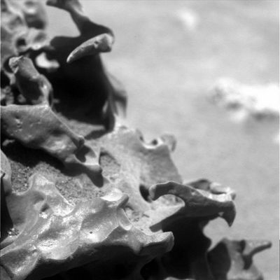 Details of "Bubble Rock" (4) - Sol 736
Caption originale:"Microscopic Imager Non-linearized Full frame EDR acquired on Sol 736 of Spirit's mission to Gusev Crater at approximately 11:59:07 MLT. Microscopic Imager dust cover commanded to be OPEN".
Parole chiave: Microscopic Imager (MI) - Controversial Frame
