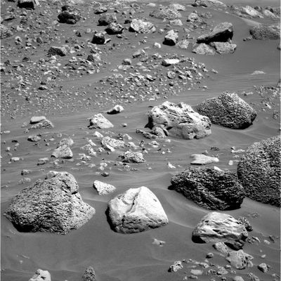 Boulder field (1) - Sol 738
Uno spettacolare "boulder field" in cui possiamo vedere, oltre ad un cospicuo numero di pseudo-rocce, anche alcuni macigni di notevoli dimensioni (in particolare quelli che vedete alla Vostra Dx) che paiono essere ricoperti da un "qualcosa" che noi abbiamo deciso di chiamare(scherzosamente, ma non troppo) "Martian Vegetation".

Per coloro che non avessero letto le nostre pregresse riflessioni sulla materia, rammentiamo che per Vegetazione Marziana noi non intendiamo nulla di riferibile al concetto terrestre di vegetazione e non implichiamo neppure l'attuale "vitalità" di questa ipotetica vegetazione (ben potrebbe trattarsi, infatti, di residui fossili di un qualche tipo). Ciò che sottolineiamo e stigmatizziamo è il fatto che, a nostro parere, la spiegazione fornita dalla NASA sulla possibile natura di questi rilievi, ci pare piuttosto forzata e semplicistica.

In futuro, poi, si vedrà chi avrà avuto ragione...
Parole chiave: Mars Panorama - Rocks, Outcrops and Boulders
