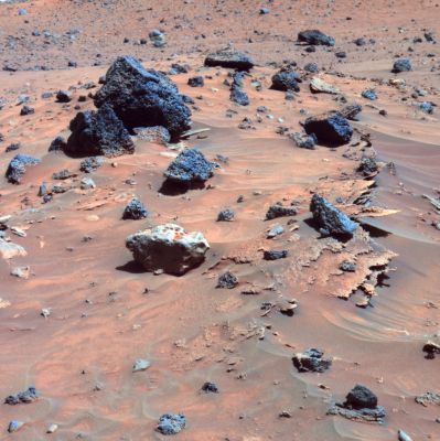 Spirit's Razorblades (2) - Sol 809 (false colors)
L’idea di pubblicare, accanto ai frames, le Captions (e cioè i commenti) NASA (o ESA) originali per essi predisposte, è figlia del tentativo di aiutare i Lettori a capire meglio quello che stanno guardando mediante la proposizione di un modello esplicativo semplice, stringato e, almeno in teoria, assolutamente affidabile ed accreditato.
“Lasciamo parlare chi sa”: questa è la filosofia.
Come Associazione di Ricerca e Divulgazione, poi, noi di Lunar Explorer Italia cerchiamo – a volte riuscendoci di più ed altre volte (come ovvio ed umano) di meno – di dare poco/pochissimo spazio alle derive intellettuali di stampo complottistico (e/o di "congiura globale") le quali individuano, in ogni "silenzio" (così come in ogni dichiarazione “spuntata” e/o “lacunosa” di “Coloro che Sanno”), un possibile (se non certo) segnale di occultamento (cover-up).
Pensate: si è parlato e si parla di cover-up – inter alia – per Roswell, per l'assassinio di JFK, per lo sbarco sulla Luna e, venendo a tempi recenti, per gli attentati del “September Eleven”.

Si parla, tanto, spesso avendo pochi dati a disposizione, e si finisce con il dire – questo non sempre, ma probabilmente ed inevitabilmente molto spesso – delle solenni stupidaggini. 
Su questo concetto ci siamo già pronunciati in passato, dunque scusate la ripetizione.

Ma veniamo ad oggi, ai commentini NASA “spuntati” ed alle deduzioni che, sempre più spesso, traiamo da essi: ebbene noi non crediamo nel cover-up assoluto, ma abbiamo la sensazione – sempre più forte – che la nostra Scienza (perché qui, su queste pagine, è di Scienza che si parla) non sia in grado di rispondere alle domande davvero interessanti che l'Esplorazione Spaziale ci spinge a fare.

Qualcuno ha detto che un’immagine parla più di cento libri: e secondo noi questo è vero. 
E da un libro (un buon libro) nascono almeno mille domande.
Ma allora, se queste premesse sono corrette, da mille “immagini”, quante “parole” e, quindi, quante “domande” nasceranno mai?!?

Noi rispettiamo la NASA (ed anche l’ESA, ma un po’ meno), come è giusto che sia, ma non la sopravvalutiamo: a nostro parere molti dei suoi silenzi e delle sue spiegazioni – ribadiamo: sempre più ripetitive, banali e scontate (come quelle al frame che precede) – non crediamo che sìano (completamente, almeno) figlie di una "Congiura Globale" la quale è finalizzata a mantenere il Genere Umano nell'ignoranza più totale e bestiale, mentre in pochi (gli “Eletti”?) crescono, evolvono e, ovviamente, mantengono il potere.

Noi crediamo che l’atteggiamento della NASA, almeno in larghissima misura (dal più datato, al più recente), sia figlio sia dell'ignoranza tout-court, sia dell'arroganza di sapere.
L’arroganza di coloro che pretendono di avere sempre una risposta (peraltro giusta) a tutti i quesiti che un uomo si può porre (ed anche in Italia, di “Scienziati” che rispondono a questo stereotipo ce ne sono diversi, non credete?!?).

Noi crediamo che i sempre più stringati (e, alle volte ormai, così saccenti dal risultare anche tristemente irritanti) commenti NASA alla quasi totalità dei frames proposti trovino la loro ragione di essere nel semplice fatto che la Verità è oltremodo complessa, decisamente lontana da noi e dal nostro modo di pensare (scientificamente) e quindi – ad oggi – sostanzialmente inafferrabile.

Certo non inafferrabile in assoluto, ma inafferrabile “al momento”! 
Inafferrabile almeno fintanto che non proveremo ad allargare, di almeno di un “paio di gradi”, quella finestra sull’Universo ed i suoi fenomeni che la nostra Scienza Consolidata (in origine fondata sulla Matematica ed il Raziocinio, ma che oggi – anzi: almeno da un mezzo secolo – si regge anche su Dogmi e Professioni di Fede) pretende di mantenere socchiusa.
Tranquillamente socchiusa, perché – in fondo – se molti dicono che la Verità rende Liberi, altri sono sempre più convinti che la Verità, invece, “fa paura”. 
Fa “solo” paura.
E paura di che cosa?
Paura di scoprire che l’Universo ha un ordine, ma non è l’ordine che pensavamo e pensiamo; paura di capire che, tra le fondamenta esatte della nostra Scienza, ve ne sono anche di fallaci; paura di riscrivere libri e di doverci confrontare con una marea di errori (alcuni, forse, terribili); paura di dire “caspita: ho sbagliato!”.

Ed è per questi motivi che, alla NASA come all’ESA e come in tante Scuole ed Istituzioni Scientifiche (in Italia, in Europa e nel Mondo), si continua a parlare ed a fornire risposte anche quando l’unica cosa da dire e da fare sarebbe quella di sedersi, tirare un sospiro e poi esprimere un franco ed intellettualmente onesto “...Non lo so...”.

Un “non lo so” che, nel tempo, ci potrebbe portare a capire che, al termine del percorso (di ogni percorso, sia esso Scientifico, Filosofico o meramente Umanistico), l’Uomo non solo non risulta essere al Centro dell’Universo, né della Via Lattea, né del Sistema Solare, ma neppure – forse – al centro della “sua” stessa Terra.

Dietro alle migliaia di vane parole che gli “Scienziati” attaccano alle “Immagini dell’Universo” c’è – forse – il solo tentativo di seppellire la consapevolezza di non essere dei “Primi Attori”, ma solo delle “comparse”.

C’è la paura di non essere degli “Eruditi Maestri”, ma solo dei “mediocri discepoli”.

C’è la Paura di scoprire, razionalmente e scientificamente (e, dunque, “in via definitiva ed inquestionabile” per definizione) che, in fondo, “Polvere siamo, e Polvere ritorneremo”.

Aprile 2006 - Lunar Explorer Italia – Paolo C. Fienga


Parole chiave: Martian Surface - Razorblades - Controversial