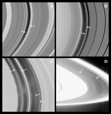 Gravitational Anomalies and Interferences
In fondo, per quanto ne sappiamo, i Fenomeni Transitori non sono una prerogativa unica della superficie dei pianeti e non si manifestano solamente attraverso 'outgassing', 'annebbiamenti' e/o fenomeni luminosi! Anche i fenomeni gravitazionali possono essere transitori, allorchè ci si trovi in un ambiente - per così dire - "affollato" da corpi celesti, quale può essere un'area di confine di uno degli Anelli di Saturno. Comunque eccoVi una parte della Caption NASA originale al riguardo:"Images taken of Saturn's rings by Cassini immediately after it entered orbit around Saturn have turned up circumstantial evidence that an unseen moon may be orbiting dead center in the narrow Keeler Gap in Saturn's outer A-Ring. Several faint discontinuities, or spikes, in the outer gap edge have been found in 2 narrow-angle camera images of the illuminated side of the Rings. These features are similar to the spikes protruding inward from the core of the F-Ring during Prometheus's passages and it is likely that the features are caused by the passages of a yet-unseen moonlet on an eccentric orbit within the Keeler gap".
Parole chiave: Saturn's Rings