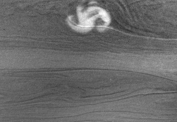 Turbulence... - detail mgnf (2)
No lightning flashes are visible in the image (they would look like medium-sized bright spots, since the light would spread out before it reaches the cloud tops), but non-detection does not mean that lightnings are absent, however. Lightning might be too faint to stand out above background or too deep to be seen through the thick clouds. Bad luck is another possibility: the camera might have missed the strong flashes during the 10' that the shutter was open. A narrow-cloud band crosses the storm from left to right. It is illuminated by the Rings from the North and is brighter on that side. Cassini scientists are looking forward to an extensive Night Side image set, designed to look for lightning. That set will be collected during the first half of 2006.

The view was obtained in visible light with the Cassini spacecraft narrow-angle camera at a distance of approx. 3,5 MKM (about 2,2 MMs) from Saturn. The image scale is approx. 20 Km (about 12 miles) per pixel.
Parole chiave: Saturn - Atmosphere - upper layers