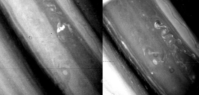Saturn's Clouds from Voyager 1 and Voyager 2
Caption NASA originale:"This comparison shows Saturn’s north temperate region as viewed on Nov. 5, 1980, by Voyager 1 (left) and Aug. 21, 1980, by its sister craft, Voyager 2, from a range of 5.000.000 Km; the large bright oval feature in the lower right of each frame measures about 2.500 Km. The largest bright feature in the Voyager 1 photograph extends about 7.500 Km from north to south. These giant storms lie within one of the strongest westward-flowing currents observed in the atmosphere, with wind speeds of about 20 mt p/s".
Parole chiave: Saturn