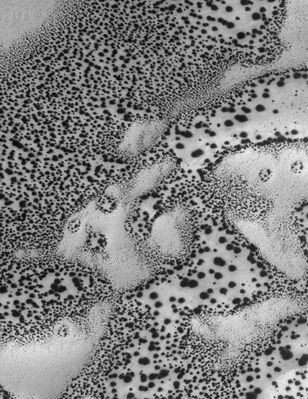 Defrosting Dunes (Original NASA/MGS/MSSS b/w Frame)
Caption NASA originale:"This MGS-MOC image shows dark spots formed in carbon dioxide frost that covers the surfaces of patches of sand in the South Polar Region. As spring arrived this year in the Martian Southern Hemisphere, so began the annual defrosting process. 
The fact that sand dunes begin to defrost earlier than other surfaces and that the defrosting process involves the formation of spots like these, has been known since the earliest days of the MGS mission".

Location near: 66,8°S; 15,7°W  
Image width: ~3 Km (~1,9 mi)  
Illumination from: upper left  
Season: Southern Spring
Parole chiave: Mars from orbit - Dunes - Controversial Image