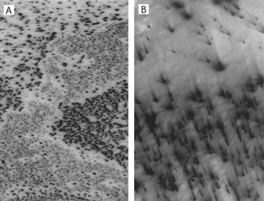 South Polar Fans (Original NASA/MGS/MSSS b/w Frames)
Caption NASA originale:"Dark spots (left) and 'Fans' appear to scribble dusty hieroglyphics on top of the Martian South Polar Cap in two High-Resolution MGS-MOC images taken in Southern Spring. Each image is about 3-Km wide".
Parole chiave: Mars from orbit - South Polar Features - Fans