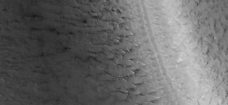 Spiderland (Original NASA/MGS/MSSS b/w Frame)
Caption originale:"This MGS-MOC image shows Cracked Surfaces in the South Polar Layered Terrain of Mars. The Cracks in this scene have formed complex dendritic arrays. Evidence of the Fracture Networks is clear in the topmost Layer; however, close inspection reveals traces of apparently older Networks in the underlying Layers".

Location near: 79,1° South Lat. and 194,2° West Long.
Image width: ~3 Km (~1,9 mi)  
Illumination from: upper left  
Season: Southern Summer
Parole chiave: Mars from orbit - South Polar Features - Spiders