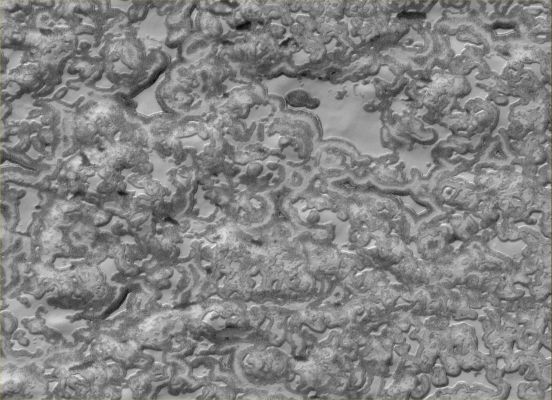The "drawings" of the South Polar Residual Cap (1)
Caption NASA originale:"This MGS-MOC image shows a Summertime view of the South Polar Residual Cap of Mars. In this image, mesas composed largely of solid Carbon Dioxide are separated from one another by irregularly-shaped depressions. The variation in brightness across this scene is a function of several factors including, but not limited to, varying proportions of dust and solid Carbon Dioxide, undulating topography, and differences in the roughness of the slopes versus the flat surfaces". 

Location near: 86,7° South; 343,3° West
Image width: ~3 Km (~1,9 mi)  
Illumination from: upper left  
Season: Southern Summer
Parole chiave: Mars from orbit - South Polar Features - Residual Cap