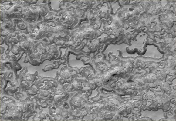 The "drawings" of the South Polar Residual Cap (2)
nessun commento
Parole chiave: Mars from orbit - South Polar Features - Residual Cap