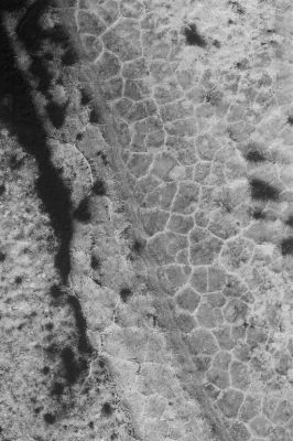 The "Martian Polygons" (Original NASA-MGS-MSSS b/w frame)
This Mars Global Surveyor (MGS) Mars Orbiter Camera (MOC) image shows "polygons" patterned ground in the South Polar region near 82.0°S, 90.8°W. Polygons are fairly common at high latitudes in both Martian hemispheres, but they do not occur everywhere. On Earth, features such as these would be good indicators of the presence and freeze-thaw cycles of ground ice. On Mars, the same might (emphasis on "might") also be true. This image covers an area approximately 3 Km across and is illuminated by sunlight from the upper left. Seasonal frost enhances the contrast in the scene; the darkest areas have advanced the farthest in the springtime defrosting process. 
Parole chiave: Mars from orbit - South Polar Features - Polygons