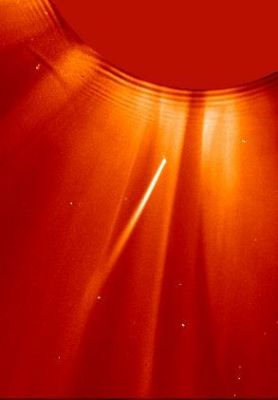 A comet approaching the Sun (from SOHO)
Caption NASA originale:"SOHO, the space-based SOlar and Heliospheric Observatory, has become by far the reigning champion facility for discovering comets, its total having reached more than 200. As might be expected of a solar observatory, most of the SOHO discovered comets are "sungrazers", such as comets destined to dive within a mere 50.000 Km or so of the solar photosphere. 
At that range the intense heat and gravitational forces make it unlikely these primitive chunks of ice and dust will survive".
Parole chiave: The Sun