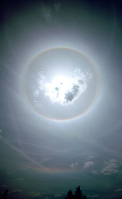 The "Dogs of the Sun"
I "Cani del Sole", un evento naturale decisamente curioso e, purtroppo, piuttosto raro dalle nostre parti (diciamo purtroppo poichè si tratta di un fenomeno alquanto suggestivo). Secondo i Navajo, l'apparizione dei due (apparenti) Soli Minori (i "cani", appunto) accanto al Sole Maggiore, costituiva di regola un presagio favorevole e, per i guerrieri/cacciatori, il verificarsi di questa "apparizione" costituiva l'annuncio di una stagione di caccia (o anche di una semplice "battuta", magari) particolarmente favorevole. I "Cani del Sole" e la relativa leggenda vennero anche - incidentalmente - ripresi nel film (ormai entrato nella Storia del Cinema) "The Deer Hunter", con R. de Niro.
Parole chiave: The Sun from Earth - Sundogs