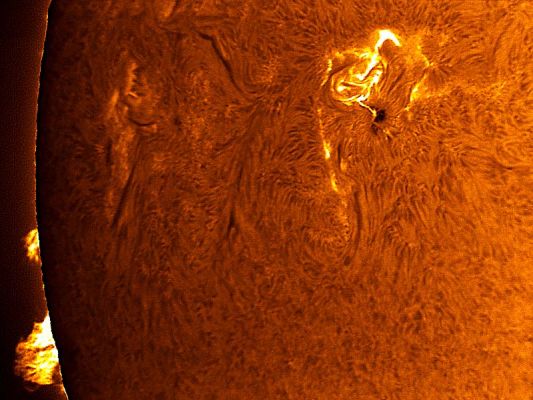 Sunspots' Region 875
Caption NASA originale (da "NASA - Picture of the Day" del 2 Maggio 2006):"An unusually active Sunspot Region is now crossing the Sun. 
The Region, numbered 875, is larger than the Earth and has produced several Solar Flares over the past week. It should take a few more days for Sunspot 875 to finish crossing the solar disk. The above image of the Sun was taken last Wednesday in a very specific color of red light to bring up detail. Sunspot 875, in the midst of erupting a large "Class C" Solar Flare, can be seen as the dark region to the upper right. In the above image, relatively cool regions appear dark while hot regions appear bright. 
On the far left, solar prominences are visible hovering above the Sun's surface".
Parole chiave: The Sun - Amatorial Pictures