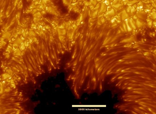 Sunspots
Caption NASA originale:"This stunning image shows remarkable and mysterious details near the dark central region of a planet-sized sunspot in one of the sharpest views ever of the surface of the Sun. Just released, the picture was made using the Swedish Solar Telescope now in its first year of operation on the Canary Island of La Palma. Along with features described as hairs and canals are dark cores visible within the bright filaments that extend into the sunspot, representing previously unknown and unexplored solar phenomena". 
Parole chiave: Sunspots