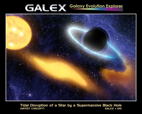Cosmic "Lunch-time"...
"...As good almost kill a man as kill a good book: who kills a man, kills a reasonable creature, God's image; but who destroys a good book, kills Reason itself, kills the image of God, as it were in the eye..."

John Milton (1608 - 1674) - "Areopagitica"
Parole chiave: Artistic Interpretations of the Universe