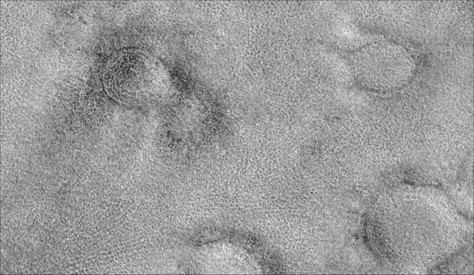 Northern Plains
A network of shallow surface troughs and fissures coalesce into polygonal patterns that are ubiquitous throughout this image. Polygonal patterned ground of this nature is quite common in permafrost regions of Earth, where seasonal thermal contraction of ice-cemented soil produces a honeycomb network of subsurface cracks. Cracks of this nature can also be produced by desiccation (mud cracks) or lava cooling (columnar joints), though typically on a smaller scale. The diameter of these martian polygons are dominantly 10-20 meters, analogous to terrestrial permafrost. The individual troughs are frequently only a couple of meters or less wide, and easily resolved at HiRISE resolution. Other characteristics, such as small ridges on either side of the troughs and the distribution of rocks in and around each polygon is also readily apparent. Small rocks and occasional larger boulders are also seen scattered throughout the image. Rocks protruding above the surface soil can be seen to cast shadows (solar illumination is from the lower left), which can aid in the determination of the rock's size and height. This image is located near an area under consideration as a landing site for the Mars Scout mission, Phoenix, planned for 2008. Examination of many factors including surface texture (roughness and morphology) and the size distribution of rocks will aid in final landing site selection. 


Parole chiave: Mars from orbit - Northern Plains