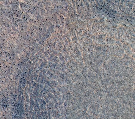 Polygonal Terrain (2)
Image TRA_000828_2495 was taken by the High Resolution Imaging Science Experiment (HiRISE) camera onboard the Mars Reconnaissance Orbiter spacecraft on September 30, 2006. The complete image is centered at 69,3° North Latitude and 130,2° East Longitude. The range to the target site was 315 Km (199 miles). At this distance the image scale is 32 cm/pixel (with 1 x 1 binning) so objects ~96 cm across are resolved. The images shown here has been map-projected to 75 cm/pixel and North is up. The image was taken at a local Mars time of 3:01 PM and the scene is illuminated from the West with a solar incidence angle of 53,4°, thus the Sun was about 35,1° above the horizon. At a Solar Longitude of 113,7°, the season on Mars is Northern Summer / Southern Winter.
Parole chiave: Mars from orbit - Northern Plains