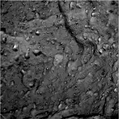 Tethys Fly-By (9)
Sono "solo" 20.000, ora, i Km di distanza fra Cassini e Tethys: questo frame, purtroppo, rappresenta e contiene un autentico campionario di difetti dell'immagine i quali, forse a torto e forse a ragione, ci ricordano alcuni frames della Luna (Clementine) e di Marte i quali ci hanno fatto pensare ad attività di manipolazione.

Giudicate Voi stessi...
Parole chiave: Saturn's Moons - Tethys