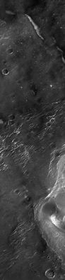 Thaumasia Dunes: the brightest dunes of Mars (CTX Frame)
Tre frames che ci mostrano delle "dune" nella Regione di Thaumasia (n.b.: è la NASA che parla di dune, allorchè descrive l'oggetto di queste immagini ma noi, a dire il vero, non abbiamo la minima idea di che cosa esattamente stiamo guardando in questo frame...) la cui riflettività - o albedo - è, semplicemente, strepitosa e, nel contempo, tale da generare dubbi e domande. 
Sono questi, forse, i presunti ed enigmatici 'tubi' metallici (in effetti questi corpi luminescenti possono anche assomigliare a delle reti di tubazioni...) che coprono parte della superficie di Marte e che lasciano supporre l'esistenza di una qualche forma di colonizzazione occorsa in passato o ancora in divenire?
O si tratta di dune ricoperte di ghiaccio d'acqua?
O magari di semplici dune quarzifere?

Che cosa stiamo guardando?!?...
Parole chiave: Mars from orbit - Dunes - Controversial Image