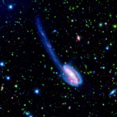 The "Tadpole" Galaxy
"...Si svegliò, guardò il Cielo per il quale aveva sempre avuto una naturale vocazione, e pensò al suo straordinario potere di ispirare gli uomini. 
Gli piaceva studiare il suo colore, le sue costellazioni, la sua infinita profondità. Osservandolo, diceva che riusciva a cogliere quello che lui chiamava "l'Alito Divino". Tutto allora gli sembrava grande e bello, ed ogni cosa prendeva un significato diverso; i grandi problemi degli uomini, visti da lassù, diventavano più piccoli di niente.
Di questa sua visione molti ne rimanevano affascinati, ma nessuno sembrava coglierne l'essenza.
Pensò ancora all'impresa appena compiuta, e per la quale aveva messo a repentaglio la sua vita, assecondando un impulso di cui sconosceva la natura e la finalità ma alla cui forza non aveva saputo resistere. 
Ed ancora una volta si sentì in balia di qualcosa più forte di lui che lo aveva spinto e guidato...".

Giuseppe Spina - "La Scalata"
Parole chiave: From Space Images - SST