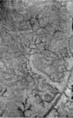 Water Ice and Methane Springs on Titan
Caption NASA originale:"A single Huygens DISR image that shows two new features on the surface of Titan. A bright linear feature suggests an area where water ice may have been extruded onto the surface. Also visible are short, stubby dark channels that may have been formed by 'springs' of liquid methane rather than methane rain". 
Come mai, qualcuno si è chiesto, gli idrocarburi di Titano non sono completamente ghiacciati? Come mai - almeno a quanto ci è dato vedere - i "fiumi" e le "sorgenti" di idrocarburi di Titano, rispettivamente, scorrono e zampillano? Che cosa permette alla superficie di Titano di essere sufficientemente calda da consentire a questo incredibile mondo di essere - da un certo punto di vista - "vivo e vitale"?
Parole chiave: Titan's surface