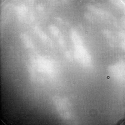 Titan's fly-by "A" - Close-up 1
Le primissime immagini del Passaggio Ravvicinato (fly-by) "A" della Sonda Cassini-Huygens accanto a Titano. Non abbiamo i dati telemetrici relativi a questa immagine, ma certamente siamo ancora molto lontani dal punto di maggior vicinanza fra i due corpi (in questo momento ci troviamo, probabilmente, fra i 400 ed i 500.000 Km di distanza da Titano). Il "passaggio radente" (si fa per dire...) di Cassini-Huygens accanto a Titano per questo primo fly-by (contraddistinto dalla lettera "A") avverrà con il transito della Sonda ad una distanza di circa 1.200/1.300 Km dalla "Luna Nebbiosa" (Hazy-Moon). Un "niente", effettivamente, laddove paragonato alle distanze che Cassini-Huygens ha coperto (e sta ancora coprendo) per fare questa "passeggiata" nel Regno di Saturno...
Parole chiave: Saturn's Moons - Titan