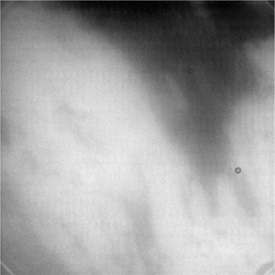 Titan's fly-by "A" - Close-up 3
Qualche altra immagine di Titano e delle sue dense nuvole grigio-gialle, come potete vedere nelle immagini a colori. A questo punto dobbiamo solo aspettare le immagini ancora più ravvicinate e poi vedremo cosa succederà al secondo passaggio ravvicinato (fly-by "B"), fra circa un mese e mezzo. Inutile dire che, già a questo punto, la discesa della Sonda Huygens su Titano diventa un evento di importanza storica.
Parole chiave: Saturn's Moons - Titan