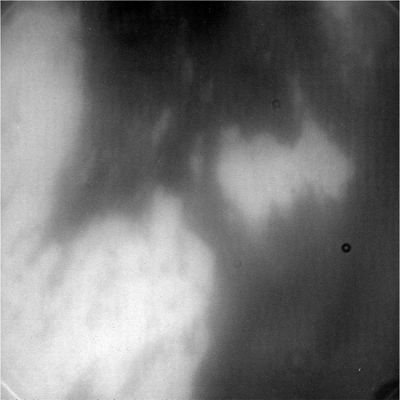 Titan's fly-by "A" - Close-up 6
nessun commento
Parole chiave: Saturn's Moons - Titan