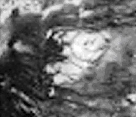 Cryovolcanism on Titan? (2)
Noi non pretendiamo di avere le conoscenze ed i mezzi di cui dispone la NASA, e non pensiamo di poter entrare in competizione con i loro Scienziati, però non siamo neppure così sprovveduti ed ignoranti dal 'bere acriticamente' tutte le spiegazioni che ci vengono offerte da questi Signori per 'salvare' il cosiddetto 'Sapere Comune'.

Conoscete il 'Rasoio di Occam'? Secondo Voi, è più probabile che: 
1) il vulcano di Titano è un vulcano nel senso terrestre del termine e la temperatura superficiale di questo Pianeta, assieme a tantissimi altri dati e fenomeni (incluso il 'Red Hot Spot') attinenti la sua composizione e la sua struttura, sia superficiale, sia interna, non sono stati interpretati correttamente, oppure  
2) le valutazioni NASA ed ESA sono tutte corrette ed il grande vulcano di Titano erutta ghiaccio d'acqua, fanghi a base di ammoniaca ed idrocarburi vari mentre tutto il resto del Pianeta è esattamente così come viene prefigurato dai Sacerdoti della Scienza Convenzionale?
Parole chiave: Saturn's Moons - Titan - Controversial Image