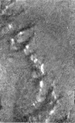 Bright white Islands
Caption NASA originale:"(...) flow around bright 'islands'. The areas below and above the bright islands may be at different elevations". Riprendendo quanto dicevamo in sede di commento al frame precedente, una teoria abbastanza "esotica" - ma da non scartare aprioristicamente - ci dice che la superficie di Titano si è scaldata in epoche (relativamente) remote a seguito di un violentissimo impatto il quale, pur sconvolgendo il pianeta, ha prodotto non solo calore sufficiente a mantenere Titano "caldo" per ere, ma lo ha pure "geologicamente risvegliato". 
Dunque su Titano, in accordo a questa teoria, dovremmo trovare svariate fornaci vulcaniche attive, sia superficiali, sia sotterranee. Questo, forse, è il segreto della "vitalità" di Titano. 
Purtroppo, come Vi accennavamo, non abbiamo ancora nessuna prova per dare sostanza a questa teoria ma, in fondo, ogni scoperta nasce da un'ipotesi e questa specifica ipotesi, secondo noi, è azzardata, ma NON inverosimile (fonte: ESA). 
Voi che ne dite?
Parole chiave: Titan's surface