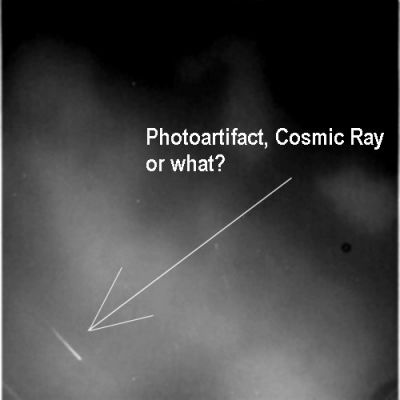 Short "light-streak" in the space of Titan
Caption NASA:"N00067442.jpg was taken on October 10, 2006 and received on Earth on the same day. The camera was pointing toward Titan that, at the time, was approximately 168.568 Km away.
This image was taken using the CL1 and CB3 filters and it has not been validated or calibrated". 
Parole chiave: Saturn's Moons - Titan - Controversial