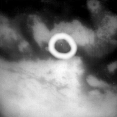 A "bright light" in the clouds? (LR)
Si tratta dello stesso frame che evidenzia una possibile Anomalìa negli strati alti dell'atmosfera di Titano, ma con una risoluzione leggermente più bassa (500x500 anzichè 512x512). L'abbassamento di risoluzione, come potete verificare Voi stessi, non ha danneggiato la percezione del flash bianco, anzi: diremmo che in questo frame (sempre NASA Originale: non siamo stati noi a ridurne la risoluzione) la possibile Anomalìa trova un modo migliore per evidenziarsi.
Nostra opinione: premesso che si tratta di una sensazione, ottenuta su besi meramente intuitive e non sostanziabili, secondo noi quello che si vede in questo frame è un qualcosa di reale e NON un pohotoartifact (che poi si tratti di un fulmine - ipotesi tutt'altro che impossibile -; di una nuvoletta composta al 99,9% di ghiaccio d'acqua - e dunque dall'albedo altissima - o di una nave spaziale aliena in ricognizione - perchè no?!? - non ci è possibile dirlo).
Parole chiave: Saturn's Moons - Titan - possible Anomaly