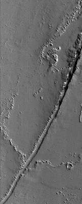Martian "Freeway" in Tharsis Region (Original NASA/MGS/MSSS b/w Frame)
Un'autostrada Marziana (come ci piacerebbe pensare...) o un gigantesco e lunghissimo crack che attraversa la suggestiva regione dove sorgono i vulcani Ascraeus e Pavonis Montes? 
Uno splendido fotogramma MGS-MOC che ci mostra l'antico letto di un fiume Marziano o, più probabilmente, il risultato di un grande evento sismico occorso in ere remote. Non possediamo informazioni al riguardo ma potrebbe anche darsi che questo grande canale sia stato disegnato, in prima battuta, da un sisma e poi sia stato "perfezionato", nella sua struttura di dettaglio, da qualche altro evento vulcanico (la Regione è quella giusta...). Le solite dune che appaiono in qualche sua sezione ci fanno anche considerare l'ipotesi che questa gola, un tempo e solo in qualche suo punto preciso, sia anche stata invasa dalle acque.
Parole chiave: Mars from orbit - Volcanic Features - Fissures - Ascraeus Mons' Proximities