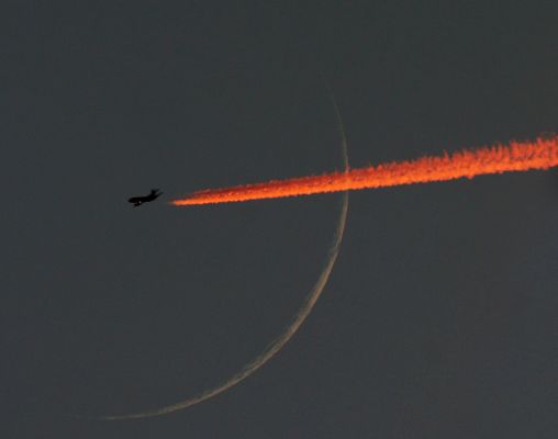 Young Moon
'Luna Giovane'. L'ultima 'Luna Giovane' risale al 9 Maggio scorso (AD 2005) e questa fotografia la riprende mentre essa è giunta alla sua 34°ma ora (e 18') di 'vita'. 
In effetti, quando si calcola l'età della Luna durante una completa lunazione (ossìa un intero "ciclo di tutte le sue fasi") - dalla Luna Nuova alla Luna Piena e quindi ancora alla Luna Nuova - la Luna non 'invecchia' mai più di 29 giorni e 12 ore. 
A parte questa piccola curiosità, ci piace sottolineare che la Luna Giovane, quando appare come una sottilissima falce nel nostro cielo, non è solo un grande spettacolo offerto dalla Natura (ed un grande piacere 'visivo'!), ma è anche un momento assai propizio - come accade durante le eclissi - per cercare di vedere dei TLP o anche di cogliere dei bagliori da impatti sul suo lato in ombra. 
Certo, ci vuole una grande dose di fortuna per cogliere questi rarissimi fenomeni mentre accadono ma...Se non si prova neppure quando il momento è favorevole, allora non si riuscirà mai a vederli!

O no?!?
Parole chiave: Artistic Pictures