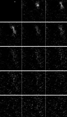 The Impact Sequence
Caption ESA originale:"Analysis of images obtained at the CFHT by Christian Veillet have revealed a plume of debris thrown up when SMART-1 impacted the Lunar Surface. 
The observations were made with the WIRCam wide-field infrared camera with 10s exposure time through an H2 narrow-band filter at 2122 nanometers with a 32 nanometers bandwidth. 
Each image is approximately 2'x 2', equating to 200x200 Km".
Parole chiave: The Moon from Earth - SMART-1 Impact