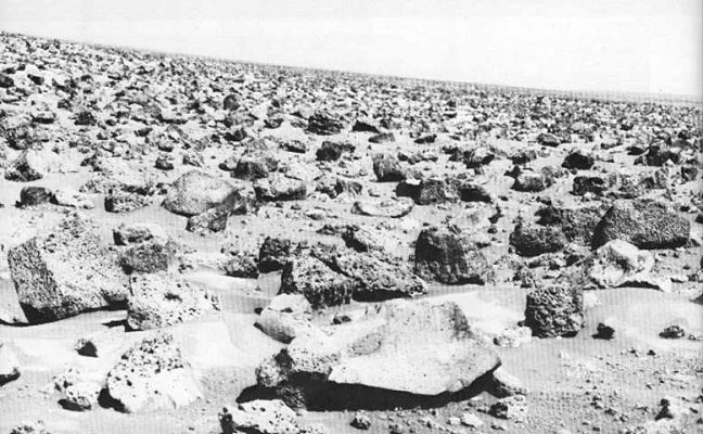 Horizon (4)
Il "ventifact" - un bellissimo neologismo 'made in NASA' creato per indicare le rocce che acquisiscono fattezze tali da renderle simili a manufatti grazie all'azione del vento - che viene indicato nel frame precedente è, a nostro parere, lo stesso 'oggetto' che il Gruppo Italiano "Eredità Cydonia" ha chiamato "The Hat" (e cioè il 'cappello'). Provate a verificare Voi stessi: dovete guardare il secondo frame Eredità Cydonia che abbiamo pubblicato nella Sezione "Mars and His Moons".

Per Vostra informazione, questi frames non li abbiamo rintracciati dentro Archivi NASA 'segreti' (come invece raccontano di aver fatto i signori di Eredità Cydonia), bensì nel Sito "SP-425 - The Martian Landscape" by the Viking Lander Imaging Team.
Ogni ulteriore commento è veramente superfluo.
Parole chiave: Mars Panorama - Mars rocks, sand and debris