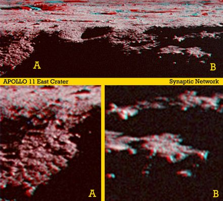 East Crater in 3D
Grazie al Dr Alessio Feltri ed alla Sua preziosa collaborazione possiamo aggiungere un nuovo tassello (tridimensionale!) nella ricostruzione di quello che accadde durante la  Missione Apollo 11. 
Anche questo contributo, al pari di tutti gli altri che lo hanno preceduto, deve quindi esserci di aiuto per capire che non tutto - anzi: ben poco di - quello che si è sino ad ora detto e scritto a proposito degli Apollo Days è effettivamente completo e corretto (e questa conclusione ci permettiamo di dirla ad alta voce, con buona pace dei Divulgatori - Italiani e non - che da tre decenni continuano a martellarci con le solite immagini e le solite interviste fatte con le solite facce che - ahinoi... - dicono sempre le solite ovvietà). 

Capire quello che è realmente accaduto sulla Luna tra il 1969 ed 1972 costituisce infatti, a nostro parere, un passaggio fondamentale da compiere prima di poter anche solo pensare di tornare sul nostro cinereo satellite naturale e poi, da lì, provare ad andare oltre...
Parole chiave: 3D Images