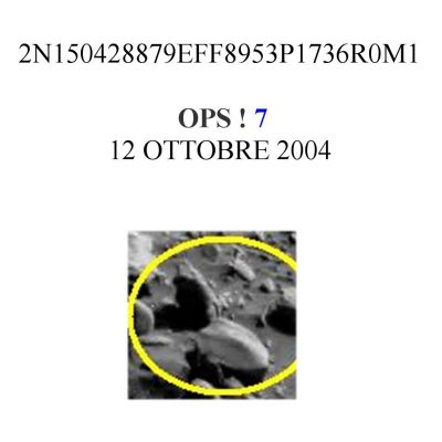 One and the same: n. 3!!!
Ed ecco, per la TERZA volta, questo "oggetto" (?) che presenta sè stesso in replica quasi perfetta in 3 diverse zone di Marte (due in Area Gusaev Crater ed una in Area Meridiani Planum). E' un sasso? E' un "mollusco", come suggerisce il Sig. Roberto? O forse è una sorta di "insetto" (un àfide Marziano)? 
E' un enigma, questo è certo: un enigma sul quale Scienziati e Ricercatori "professionisti" non "hanno il tempo" di pronunciarsi e che la NASA si limita ad ignorare.
Perchè? Noi crediamo che l'assenza di dichiarazioni su questo tipo di "segnalazioni" derivi dal fatto che il rischio connesso ad una (qualsiasi) presa di posizione (ergo di responsabilità) sia enorme. Tollerabile per un Libero Ricercatore (il quale può sbagliare e la sua vita non cambia o cambia poco); intollerabile per uno Scienziato (quale che sia l'Ente di appartenenza) il quale, in caso di svista, si sarebbe giocato - probabilmente per sempre - la carriera e la credibilità proprie e dell'Istituzione che lo sostiene e mantiene.
O no?!?
Parole chiave: Highly Controversial Image