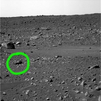 Skull-Rock: pseudo-rock or pseudo-fossil? (1) - from Sol 44
Nel quadro - sempre più vasto e complesso - delle Singolarità (e/o delle Anomalìe vere e proprie) individuate sulla superficie del Pianeta Rosso durante il primo Anno Marziano dei MER Spirit ed Opportunity, si inserisce una questione di fondo che ha ormai assunto proporzioni considerevoli: un numero imprecisato - ma già molto alto -, di Appassionati, di "Anomaly Hunters", di Ricercatori Indipendenti e così via, ha notato, attraverso l'analisi delle migliaia di frames giunti dalle "sabbie" e dalle "pietraie" di Gusev Crater e di Meridiani Planum, che c'è qualcosa di curioso, a volte strano ed a volte indefinibile e controverso, nelle "rocce di Marte". 
Secondo alcuni (e parliamo della Scuola del Prof. Hoagland), si potrebbe trattare di manufatti (ossìa di opere “artificiali” – forse sarebbe meglio dire “NON naturali”); secondo altri (annoveriamo il Dr Feltri e noi stessi), le rocce di Marte potrebbero NON essere esattamente “rocce nel senso terrestre" del termine. 
Secondo altri ancora, come l'Amico Ricercatore Indipendente Fabio Italiano (alias OldGrey) che ci ha inviato questa interessante Relazione (la quale costituirà, inevitabilmente, una fonte di nuove controversie), alcune "rocce" potrebbero essere i residui fossili di antiche Creature che, in un tempo probabilmente assai remoto, calpestavano la superficie di Marte. 

Allora, riassumendo: le rocce di Marte sono dei “manufatti”, sono “esseri”, sono “fossili” o sono soltanto “rocce”?
E’ del tutto ovvio che nessuna di queste Scuole di Pensiero può, ad oggi, dire di aver raggiunto una “ragionevole certezza” al riguardo, anzi…

Inoltre, la scarsa (ma forse sarebbe meglio dire “nulla”) collaborazione sia da parte degli Enti Spaziali coinvolti nell’esplorazione e studio del Pianeta Rosso (NASA/USA – ESA/Europa), sia degli Scienziati – Americani ed Europei soprattutto – che vanno per la maggiore (troppo pavidi ed interessati per sbilanciarsi), unita al quantitativo ormai impressionante di dati contraddittori ed imprecisi, alterati e manipolati, discutibili e/o addirittura falsi che sono disponibili su Marte ha reso estremamente ingrato ed oltremodo complesso il lavoro di Ricerca che ognuno di noi, usando la propria testa, le proprie competenze e i mezzi di cui dispone, può svolgere.

Insomma: lo scenario attuale della Ricerca su Marte dice che ci troviamo in un Mare Magnum di informazione, ben miscelata con tanta disinformazione e tanta controinformazione.
Un Mare Magnum che non siamo in grado di dire se sia stato “voluto” oppure se si è – semplicemente – “auto-generato” a causa del modo, diremmo  eccessivo e sbagliato, ma certo figlio della nostra contemporaneità, di fare Scienza, Informazione & Spettacolo.

Un Mare Magnum dal quale non sarà per niente semplice venir fuori…

Parole chiave: Controversial Mars' Surface Features