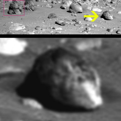 Skull-Rock: pseudo-rock or pseudo-fossil? (8) - from Sol 44
E così, per chiudere - in via del tutto provvisoria, naturalmente - la querelle sollevata dell'Amico "OldGrey", Vi proponiamo un altro frame (elaborato dal Dr Feltri e sui cui contenuti ci intratterremo più diffusamente in altra sede) che, a ben guardare, rappresenta una nuova "surface feature" del tutto anomala e controvertibile. 

Di che cosa si tratta in questo caso?

Diremmo che la risposta - come per l'Anomalìa di OldGrey - dipende dalla Scuola di Pensiero alla quale ci sentiamo più vicini: per alcuni si tratterà di un manufatto, per altri di una pseudo-roccia e per altri ancora di una forma di vita indigena o di un semplice sassetto dalla forma inusuale.

Chi ha ragione e chi ha torto? Irrilevante: sinchè che non andremo su Marte "a vedere", il problema della ragione o del torto, secondo noi, è e rimane uno pseudo-problema.

La domanda che, a nostro parere, rimane sempre aperta e che vale la pena di porsi è forse un'altra: quello che guardiamo, "per noi" (ognuno di noi!), "che cosa significa"?
Parole chiave: Controversial Mars' Surface Features