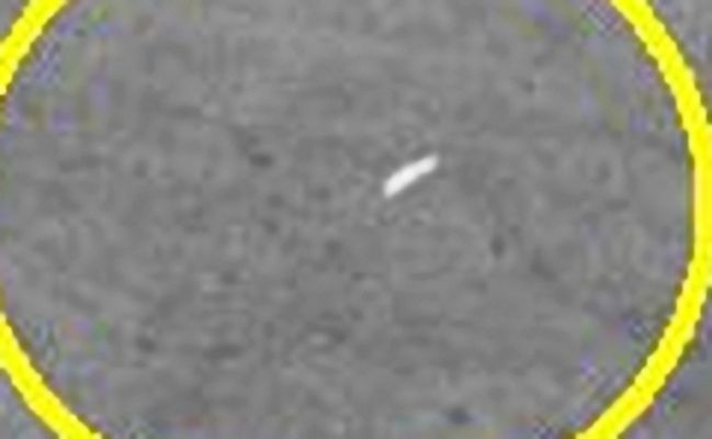 AS 17-136-20793 (detail mgnf) - Fast Moving Object?!?
nessun commento
Parole chiave: Lunar Surface - Extremely Unusual Surface Feature