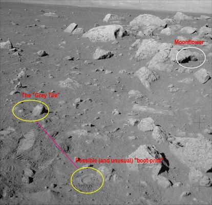 AS 17-145-22170 - Anomalies' Garden (context image)
Nel "Giardino delle Anomalìe" Lunari, un bellissimo frame che individua, in poco spazio, la "Tegola Grigia" (individuata dal Sig. Canobbio), il bizzarro rilievo individuato dal Dr Barca e che abbiamo battezzato "Fiore di Luna" e, per finire in bellezza, una curiosa impronta parziale nella Cerchiatura Gialla posta a ridosso del margine inferiore del frame (forse lasciata dallo stivale di uno degli Astronauti).

Una bellissima "Veduta d'insieme", selezionata dal Dr Barca.
Parole chiave: Lunar Surface - Unusual Surface Features