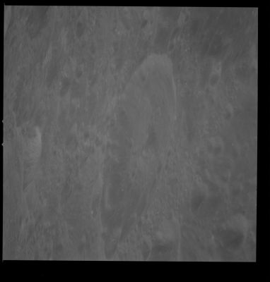 AS 10-30-4344 - Looking Down to the Moon...
nessun commento
Parole chiave: The Moon from orbit